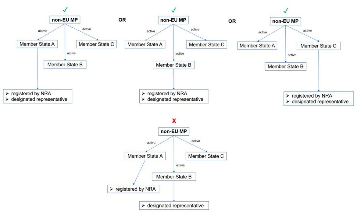 Scenarios of MPs registration and their representatives in MSs